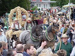 Festumzug zum Jubiläum: 500 Jahre Griesenbrauck und 800 Jahre Sümmern (2004)