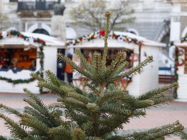 Wechselhütten auf dem Weihnachtsmarkt