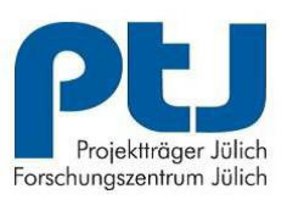 Logo Projektträger