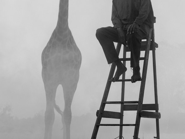 Ausstellung „Nick Brandt – The Day May Break“