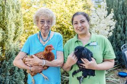 Das Bild zeigt eine Situation in der Tagespflege.