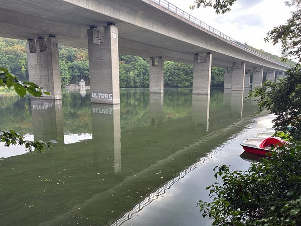 Eine Begehung der Abteilung Stadtentwässerung der Stadt Iserlohn lässt vermuten, dass sich womöglich wieder Blaualgen, auch Cyanobakterien genannt, im Seilersee vermehrt haben.