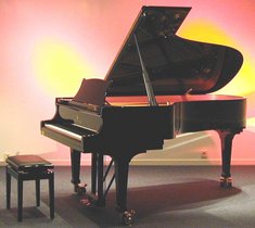 Das Bild zeigt einen gespendeten Steinway-Flügel