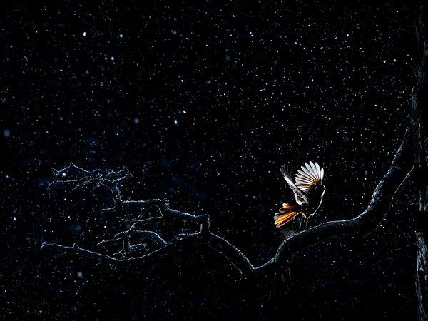 Mit ihren Bildern entführen Florian und Lisa Marie Smit in eine Welt voller Gletscher, Fjellebenen und mystischer Wälder. 