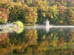 Das Bild zeigt den Seilersee