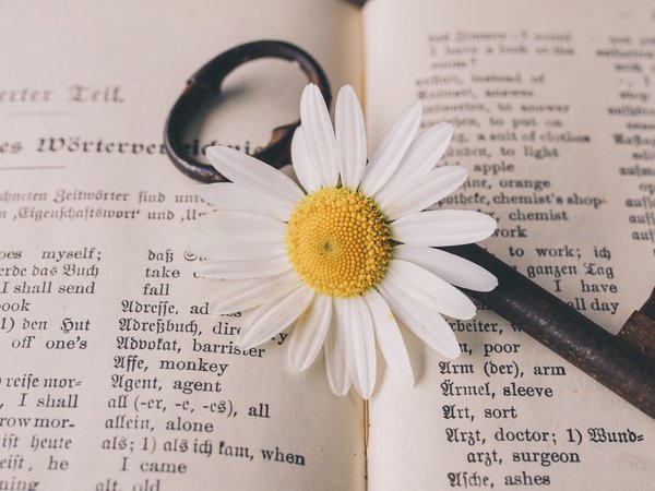 Englischkenntnisse helfen im Alltag.