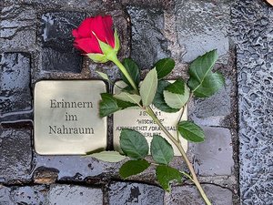 Das Bild zeigt Stolpersteine und eine Rose
