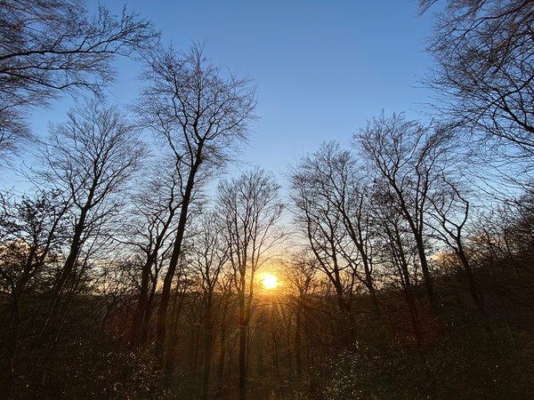 Goldener Herbst in Iserlohn.