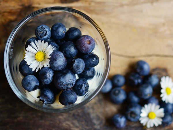 Der Verzehr von Heidelbeeren gilt im Alter beispielsweise als gesundheitsfördernd.  