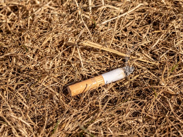 Zigarettenkippen können auf trockenen Grasflächen Brände verursachen. 