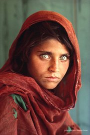 McCurry