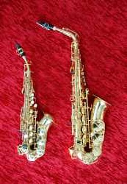 Das Bild zeigt Saxophone, auch in Kindergröße