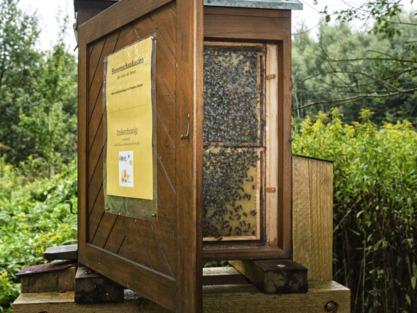 Barendorfer Honig - Bienenschaukasten