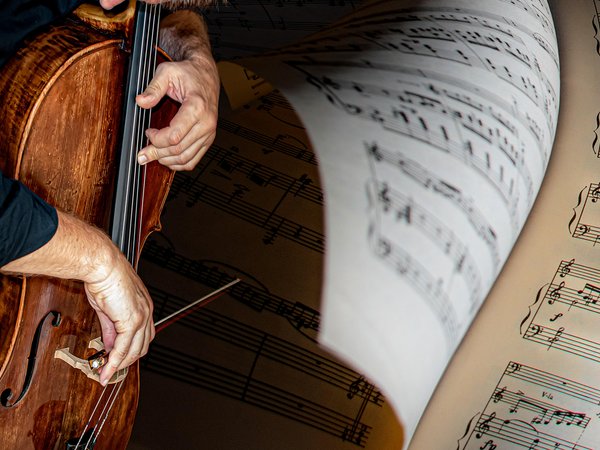 Im neuen Instrumentenkarussell erhalten Kinder bis zu den Osterferien Unterricht auf Cello/Kontrabass, Gitarre, Schlagzeug und Harfe.