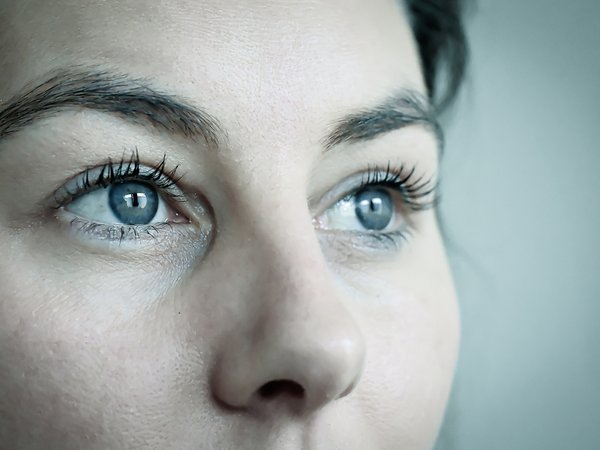 Sinnesorgan Auge