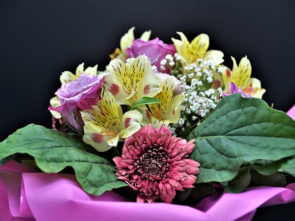 Die Kunst der Floristik 