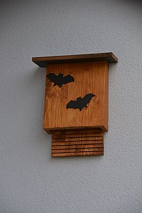 Das Bild zeigt einen Fledermauskasten
