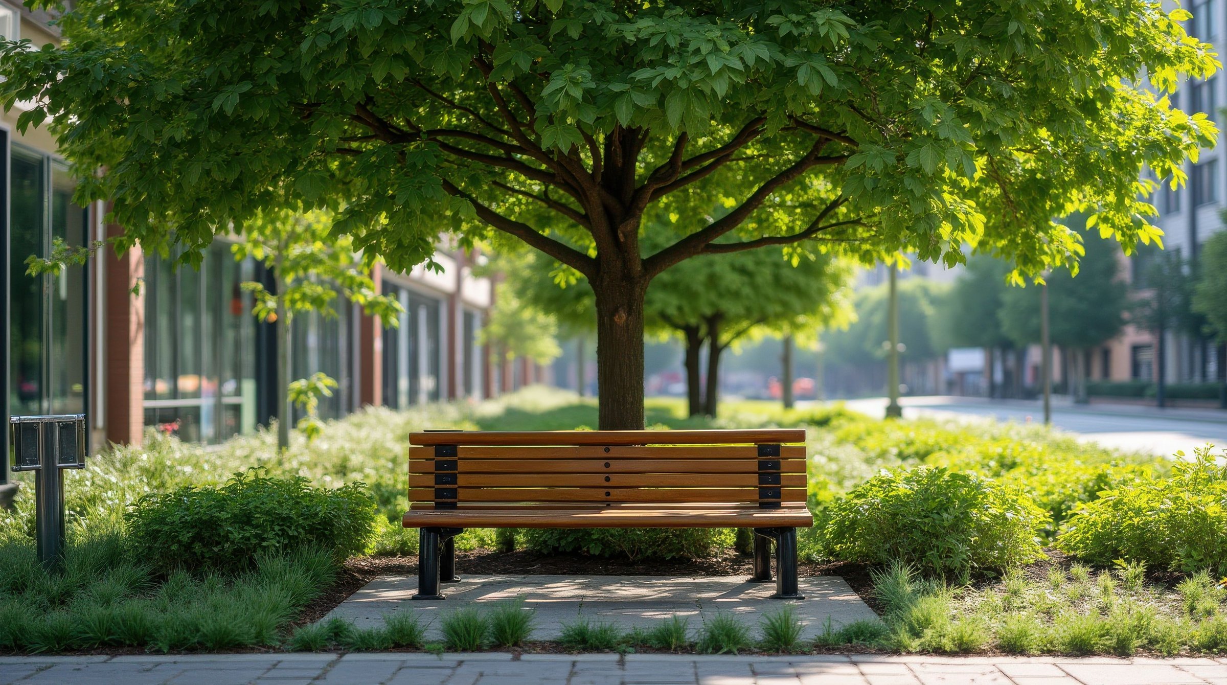 Das Bild zeigt einen Baum und eine Bank in der Stadt.