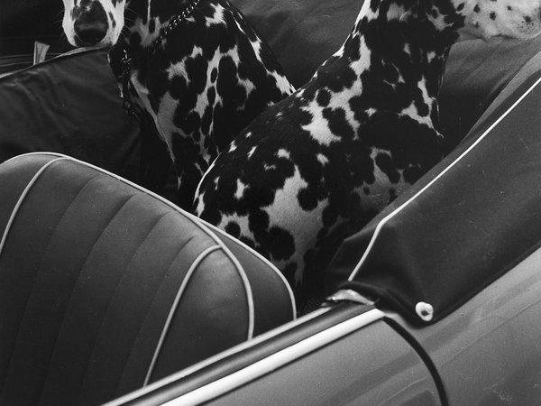 Louis Stettner - Fifties Graffiti, New York, 1954 