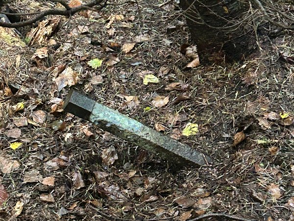 Stabbrandbombe im Stadtwald