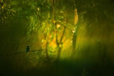 Das Bild zeigt eine Fotografie von Klaus Tamm.