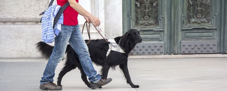 Das Bild zeigt einen Mann mit einem Blindenhund.