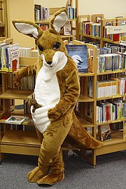 Bücherei-Känguru Kessy
