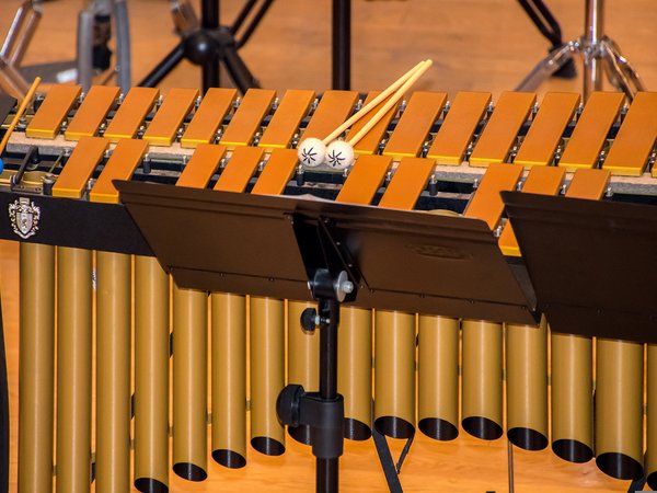 Das Marimbaphon ist ein Musikinstrument, das in der Solo-Wertung Drumset (Pop) zum Einsatz kommt.