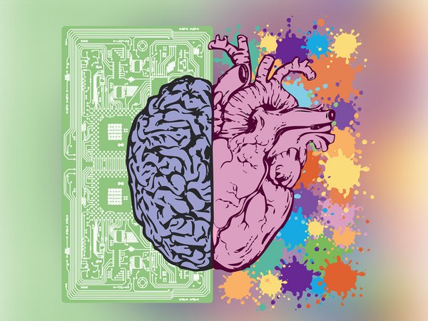 Emotionsregulation ist auf das Nervensystem zurückzuführen.