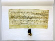 Das Bild zeigt eine Urkunde.