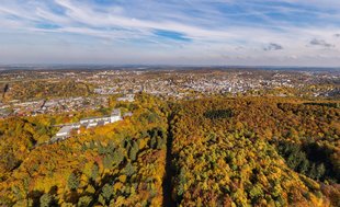 Das Bild zeigt den Ausblick vom Danzturm