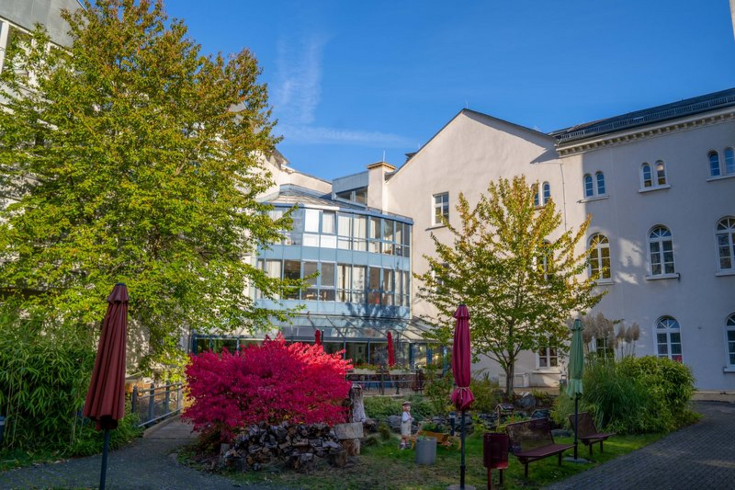 Das Bild zeigt den Garten des SWI.