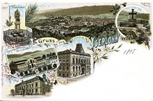 Das Bild zeigt eine Fotografie von Leopold Cohen