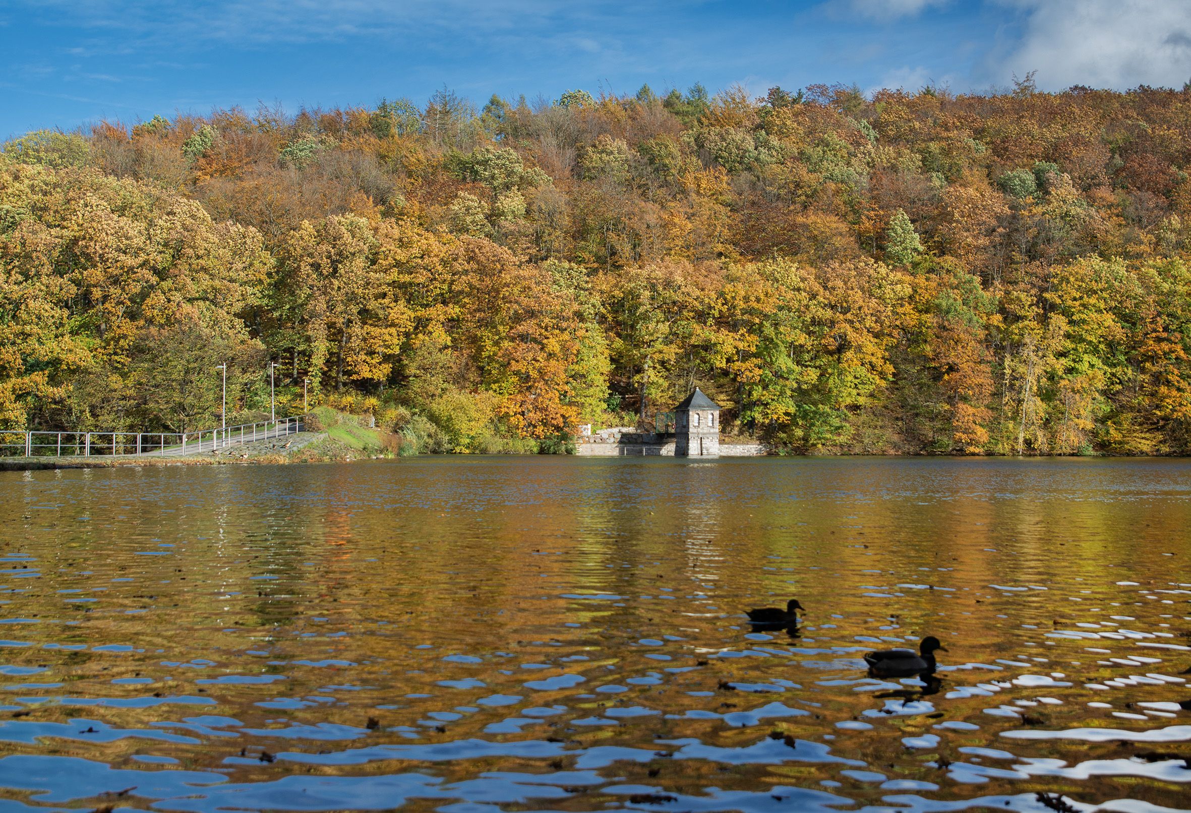 Das Bild zeigt den Seilersee im Herbst. Das Bild zeigt den Seilersee im Herbst.