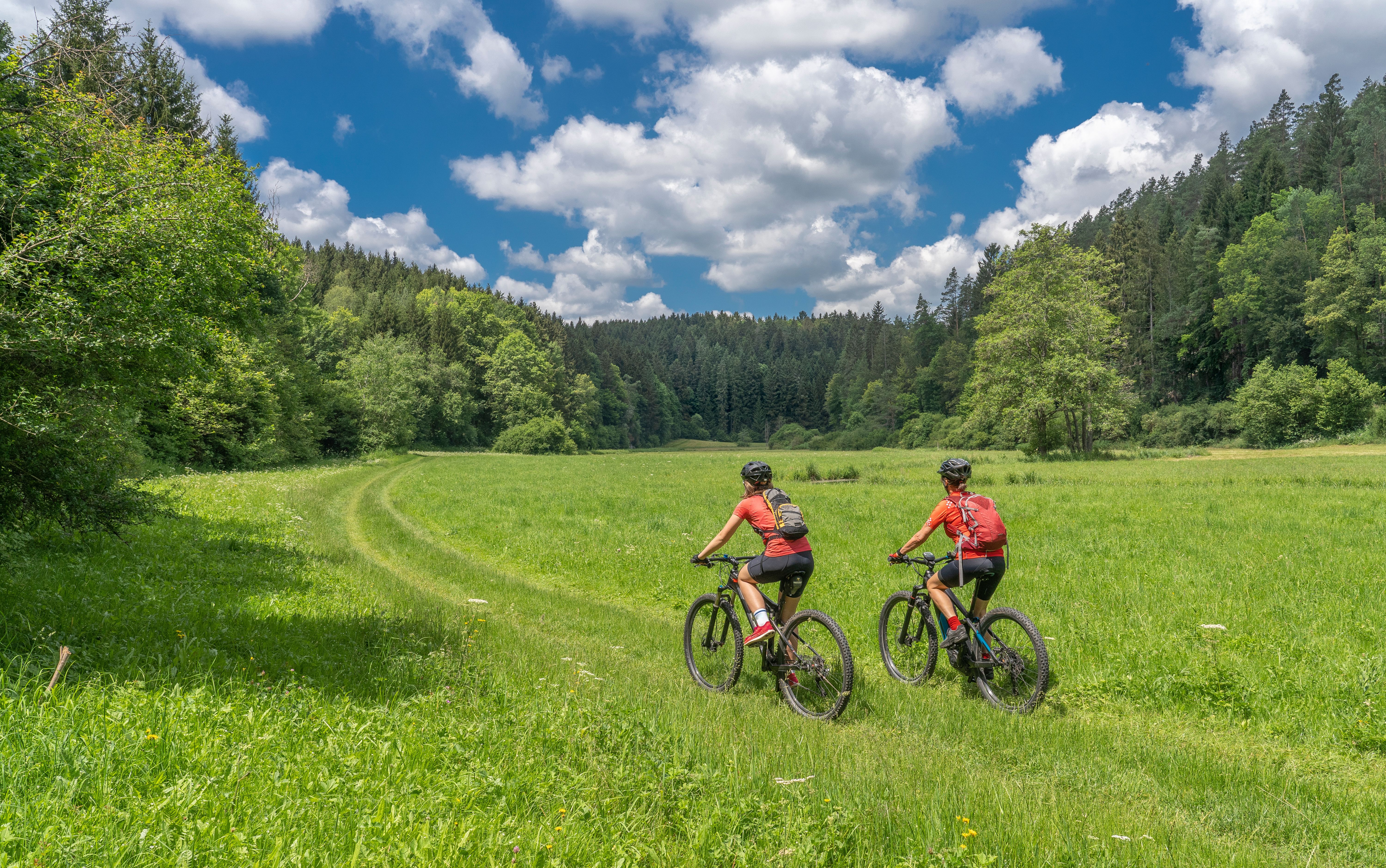 Das Bild zeigt zwei Radfahrerinnen im Grünen