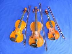 Das Bild zeigt Geigen, auch in Kindergröße