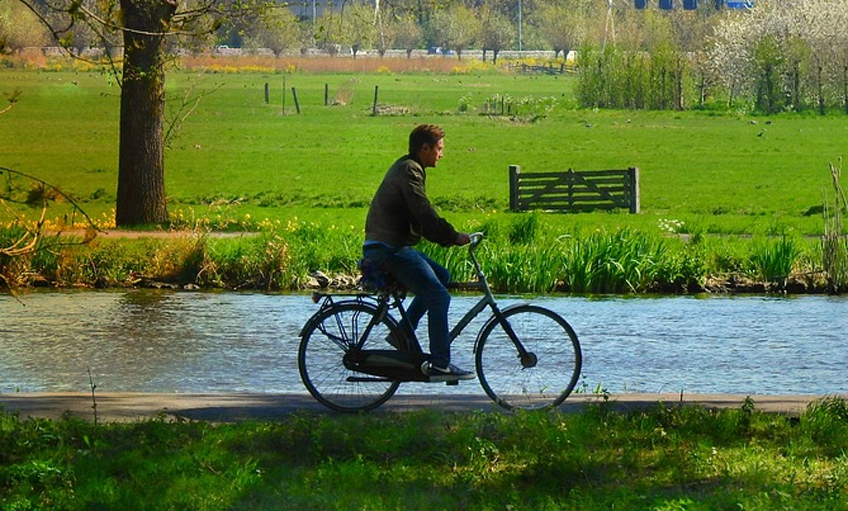 © Pixabay_MabelAmber