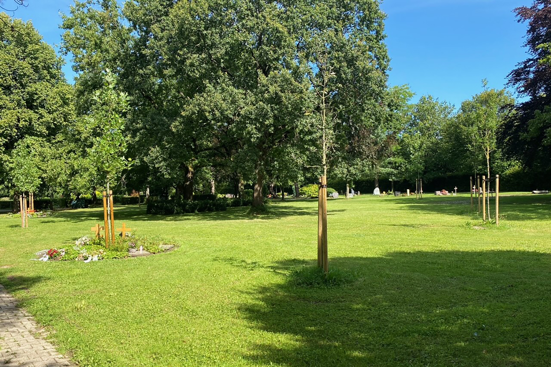 Baumgrab auf dem Iserlohner Hauptfriedhof