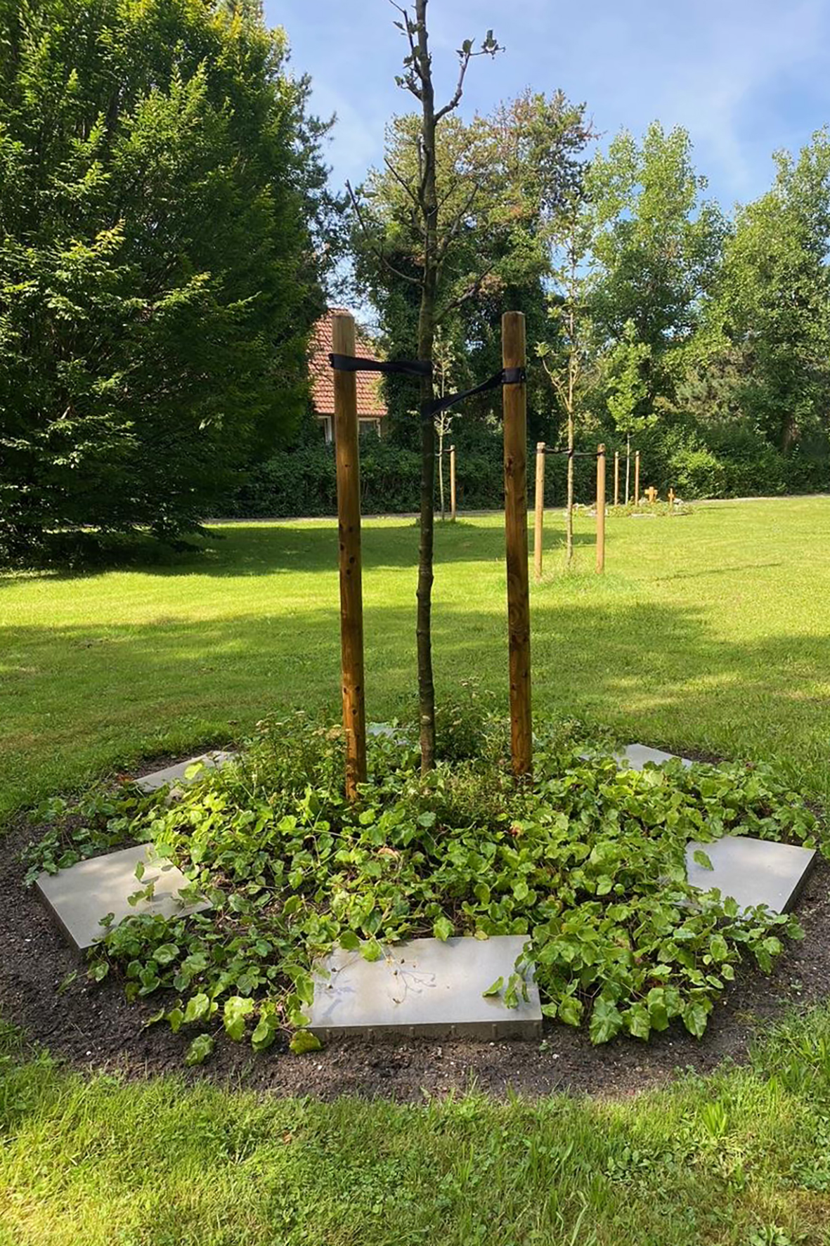 Familienbaum auf dem Iserlohner Hauptfriedhof