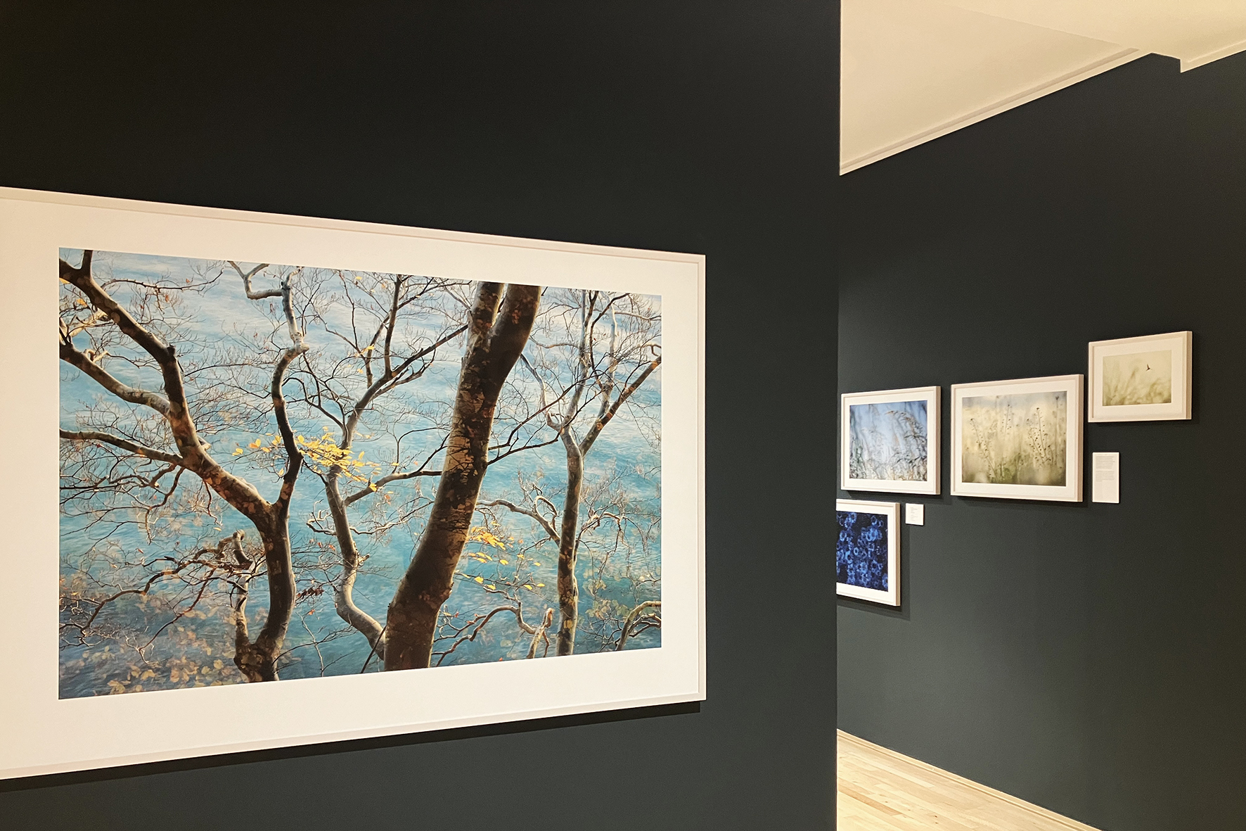 Fotoausstellung von Sandra Bartocha in der Städtischen Galerie