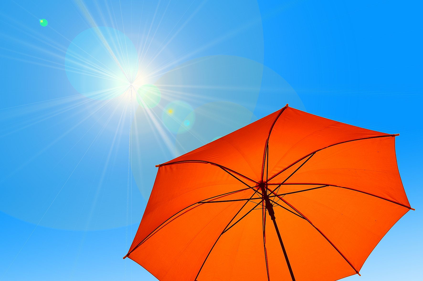 Sommer, Sonne, Hitze, Sonnenschirm