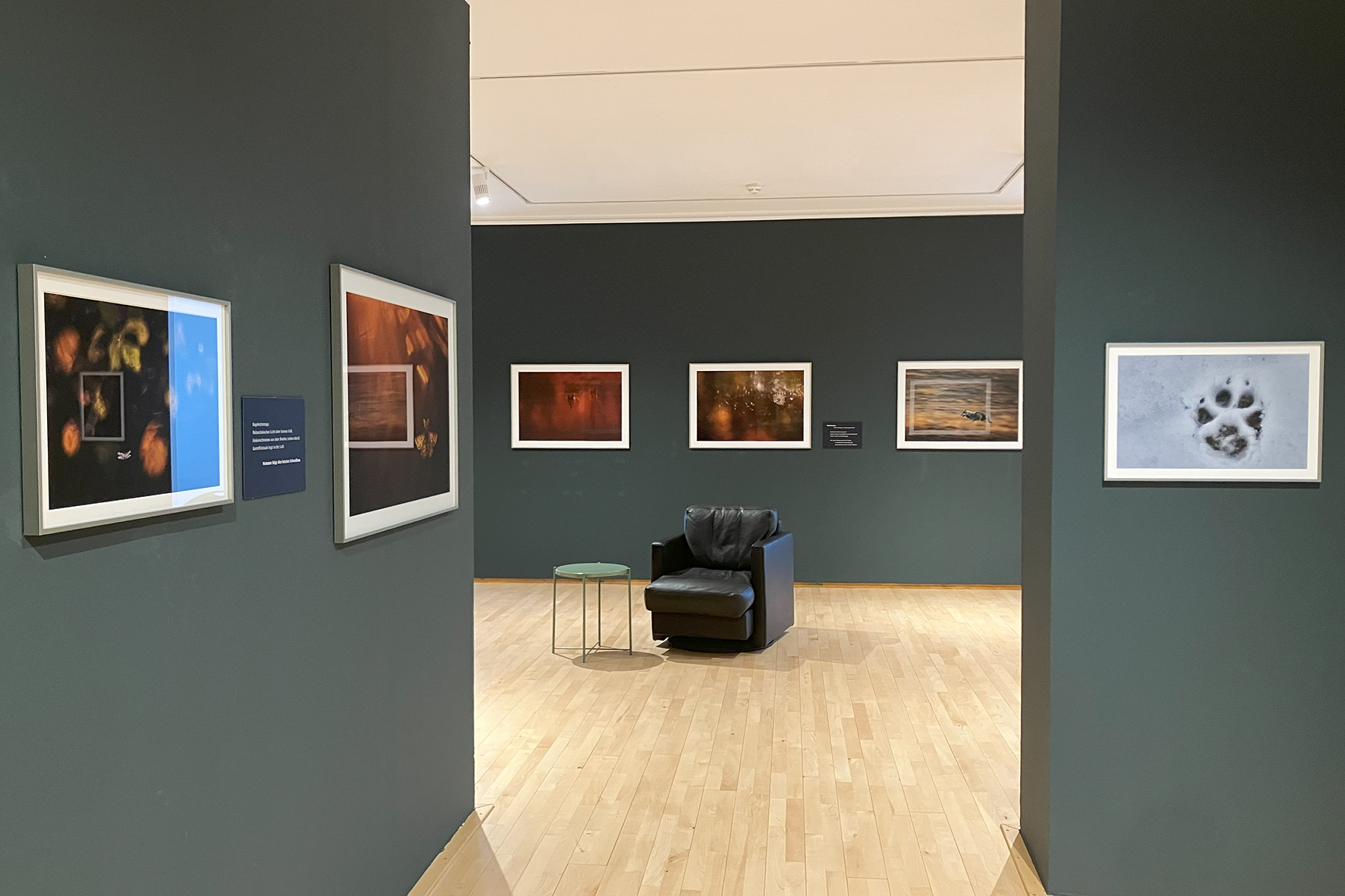 Ausstellung „Klaus Tamm – Begegnungen. Im Land der Wölfe“