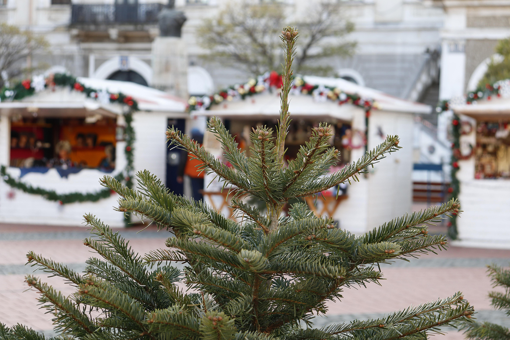 Wechselhütten auf dem Weihnachtsmarkt