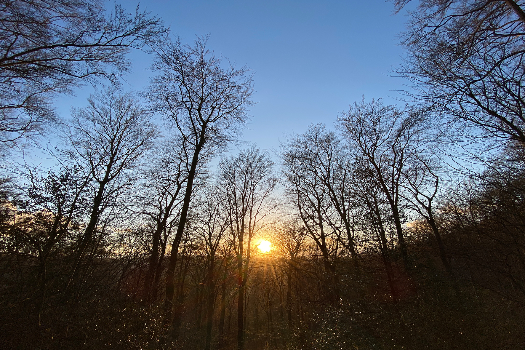 Goldener Herbst in Iserlohn.