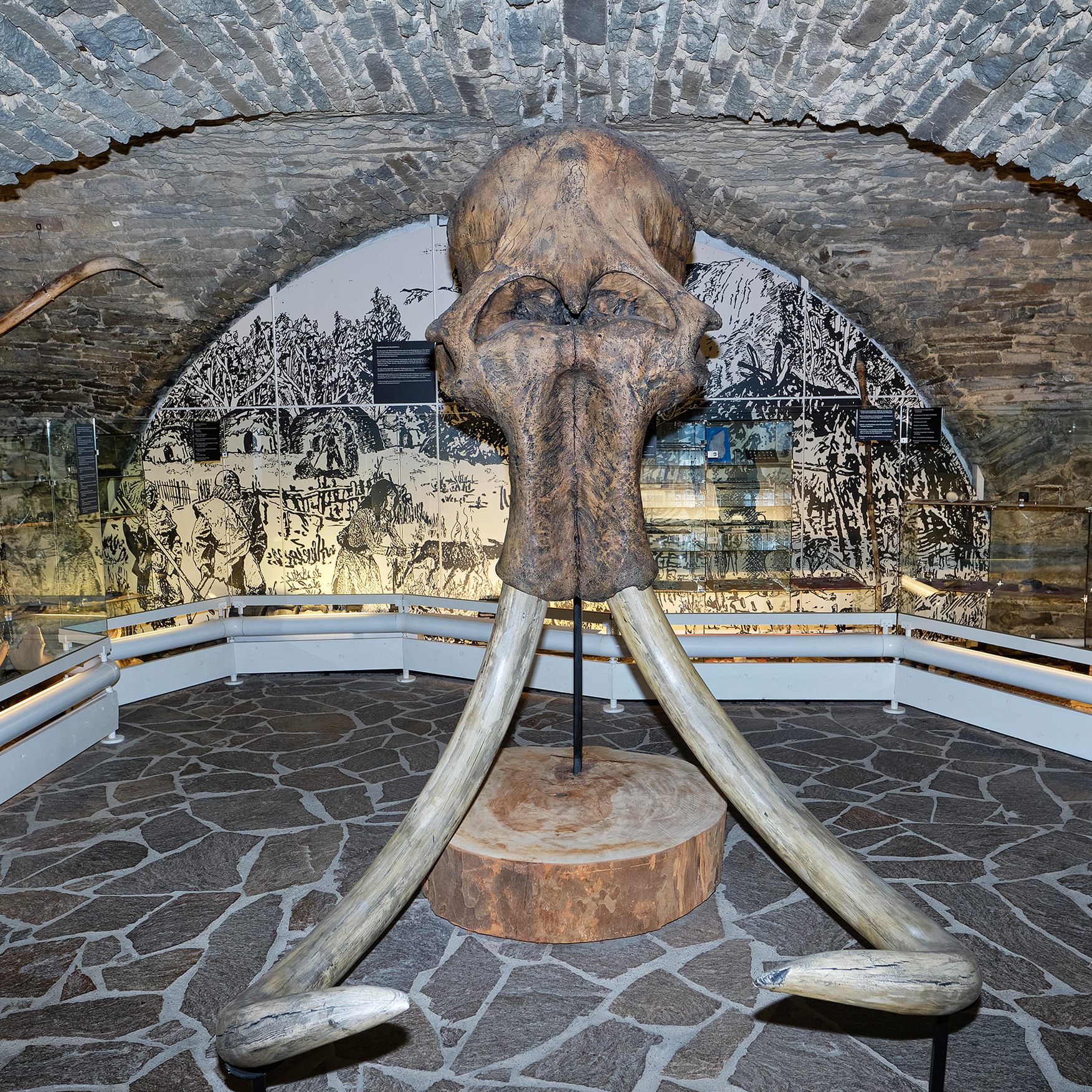 Der Mammut-Kopf verlässt das Stadtmuseum Iserlohn.