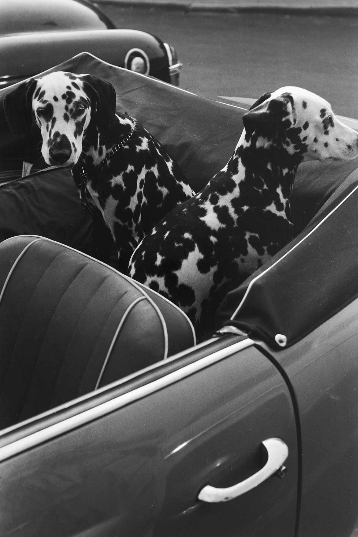 Louis Stettner - Fifties Graffiti, New York, 1954 