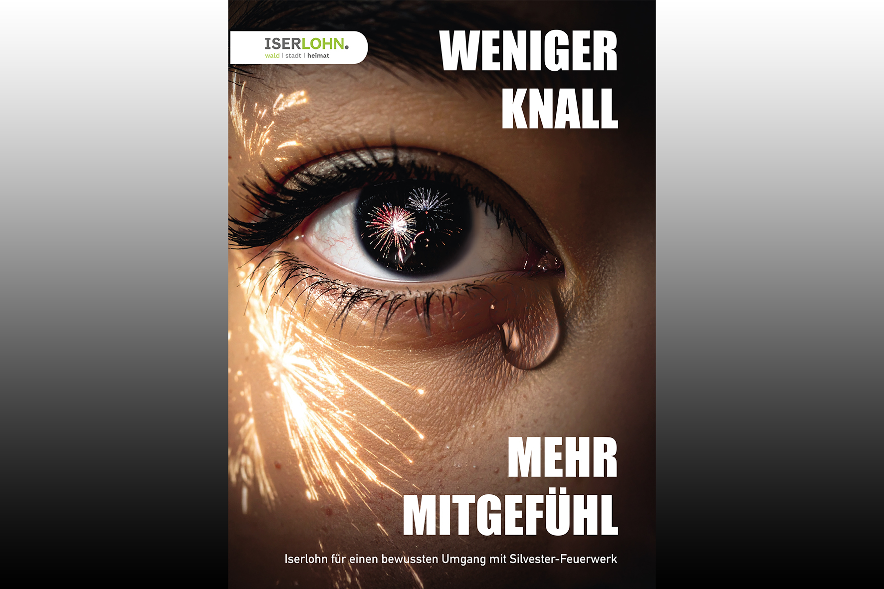 Plakatkampagne Silvesterfeuerwerk