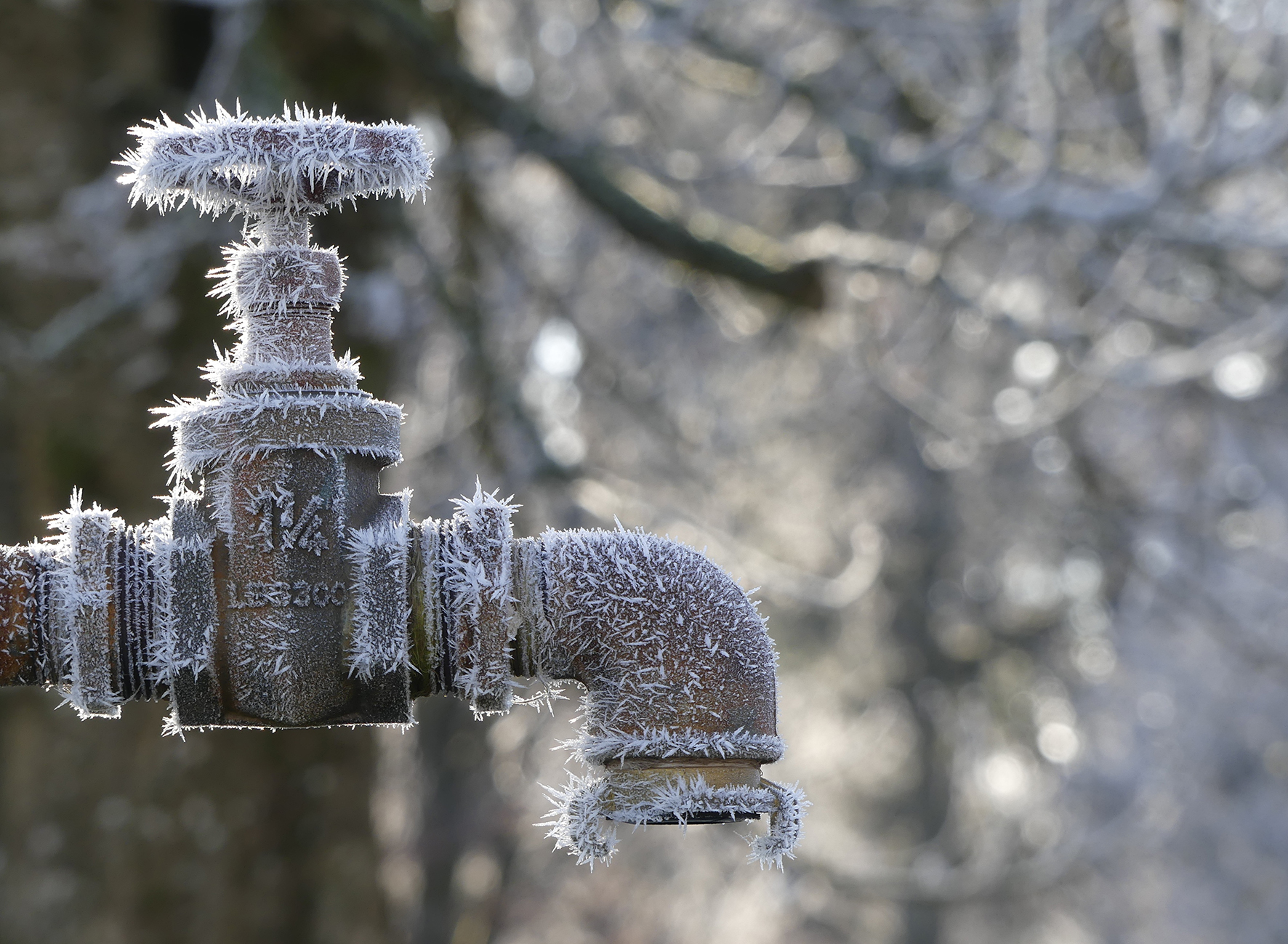 Auch Mitte März kommt es in der Nacht teilweise noch zu Bodenfrost.