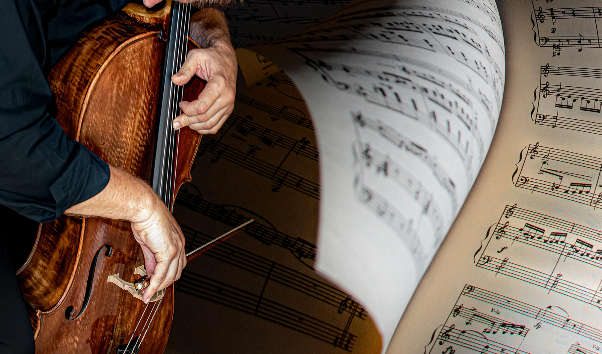 Im neuen Instrumentenkarussell erhalten Kinder bis zu den Osterferien Unterricht auf Cello/Kontrabass, Gitarre, Schlagzeug und Harfe.