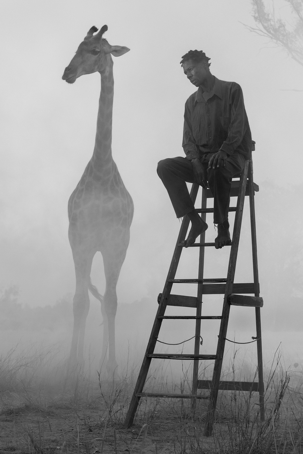 Ausstellung „Nick Brandt – The Day May Break“